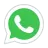 icon whatsapp